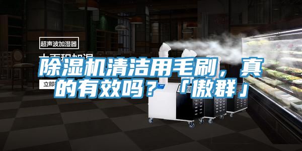 除濕機清潔用毛刷，真的有效嗎？「傲群」