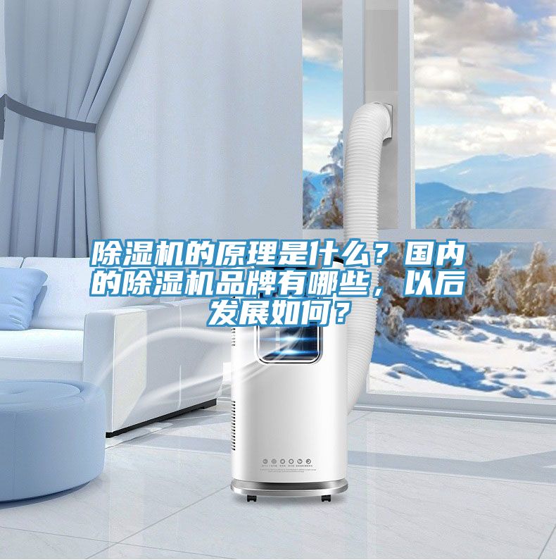 除濕機(jī)的原理是什么？國內(nèi)的除濕機(jī)品牌有哪些，以后發(fā)展如何？