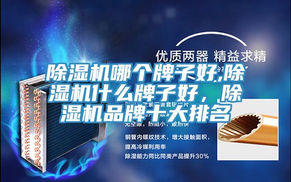 除濕機(jī)哪個(gè)牌子好,除濕機(jī)什么牌子好，除濕機(jī)品牌十大排名