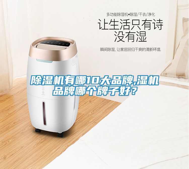 除濕機有哪10大品牌,濕機品牌哪個牌子好？
