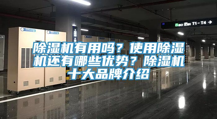 除濕機(jī)有用嗎？使用除濕機(jī)還有哪些優(yōu)勢？除濕機(jī)十大品牌介紹