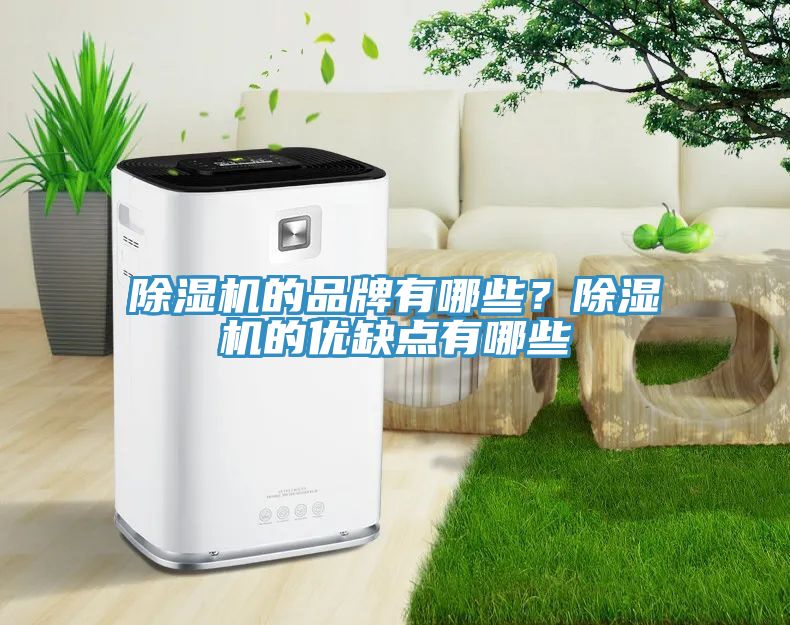 除濕機(jī)的品牌有哪些？除濕機(jī)的優(yōu)缺點(diǎn)有哪些