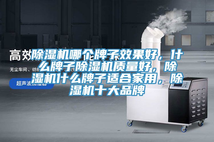 除濕機哪個牌子效果好，什么牌子除濕機質(zhì)量好，除濕機什么牌子適合家用，除濕機十大品牌