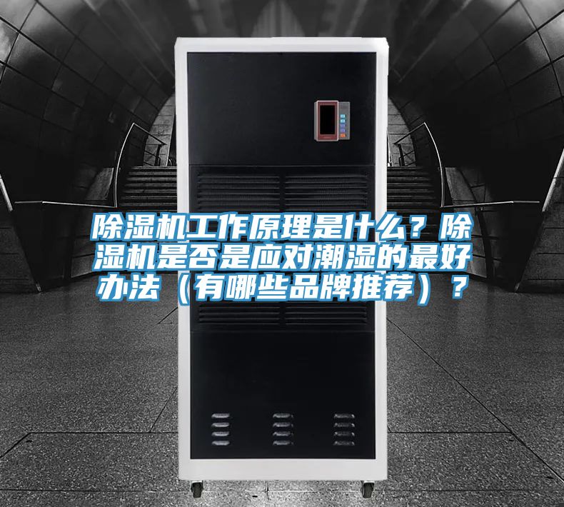 除濕機工作原理是什么？除濕機是否是應對潮濕的最好辦法（有哪些品牌推薦）？