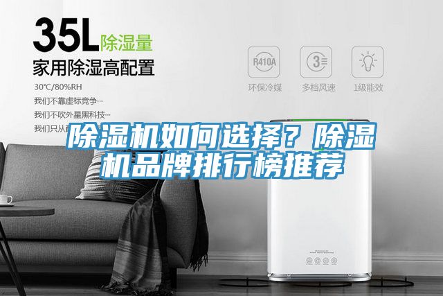 除濕機(jī)如何選擇？除濕機(jī)品牌排行榜推薦