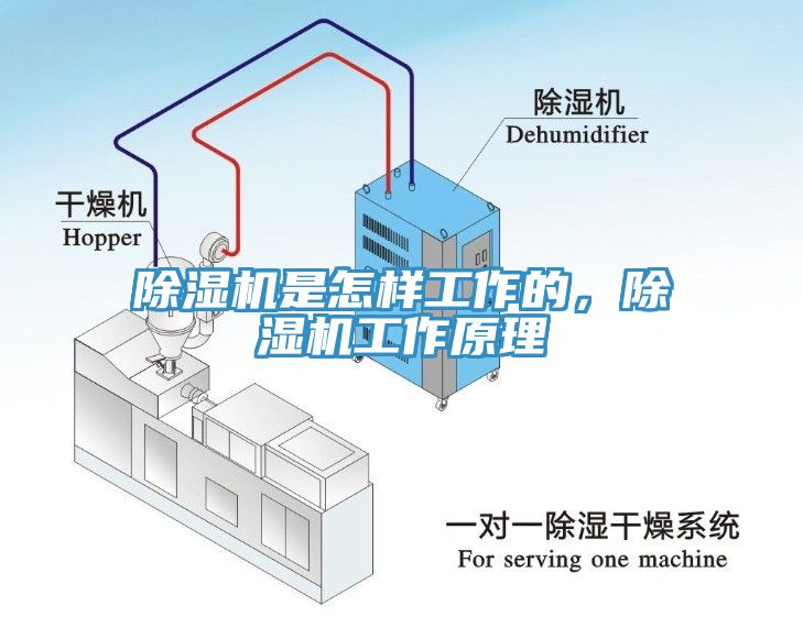 除濕機是怎樣工作的，除濕機工作原理