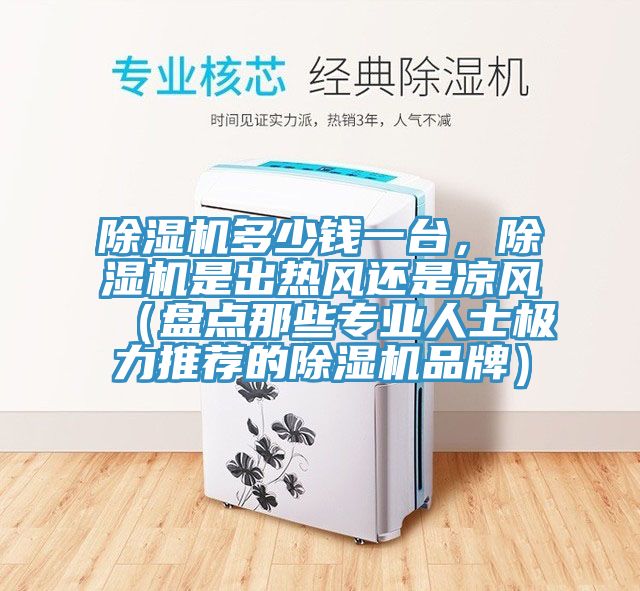 除濕機多少錢一臺，除濕機是出熱風還是涼風（盤點那些專業(yè)人士極力推薦的除濕機品牌）