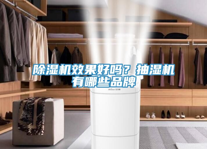 除濕機(jī)效果好嗎？抽濕機(jī)有哪些品牌