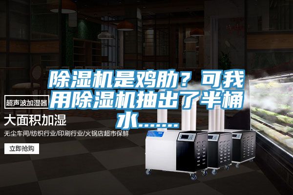 除濕機是雞肋？可我用除濕機抽出了半桶水.......