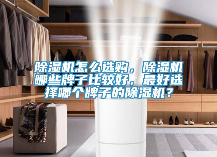 除濕機(jī)怎么選購(gòu)，除濕機(jī)哪些牌子比較好，最好選擇哪個(gè)牌子的除濕機(jī)？