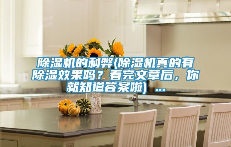 除濕機的利弊(除濕機真的有除濕效果嗎？看完文章后，你就知道答案啦) ...