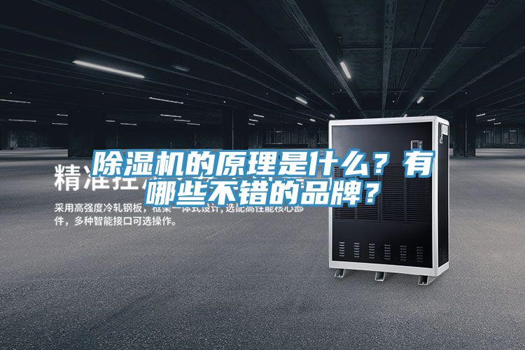除濕機(jī)的原理是什么？有哪些不錯的品牌？