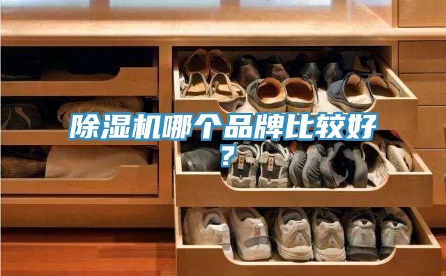 除濕機(jī)哪個(gè)品牌比較好？