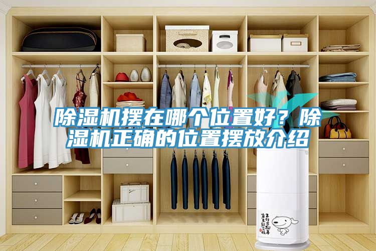 除濕機擺在哪個位置好？除濕機正確的位置擺放介紹