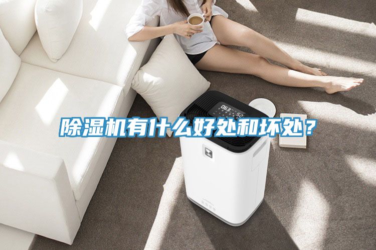 除濕機有什么好處和壞處？