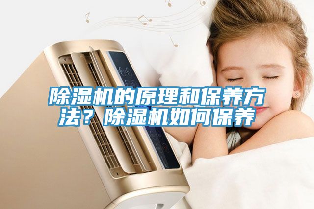 除濕機(jī)的原理和保養(yǎng)方法？除濕機(jī)如何保養(yǎng)