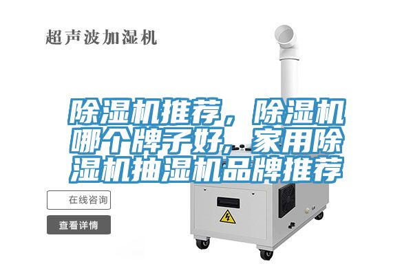 除濕機(jī)推薦，除濕機(jī)哪個(gè)牌子好, 家用除濕機(jī)抽濕機(jī)品牌推薦