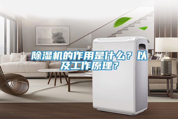 除濕機(jī)的作用是什么？以及工作原理？