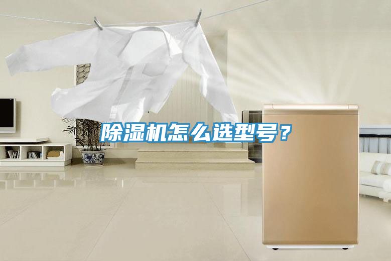 除濕機怎么選型號？