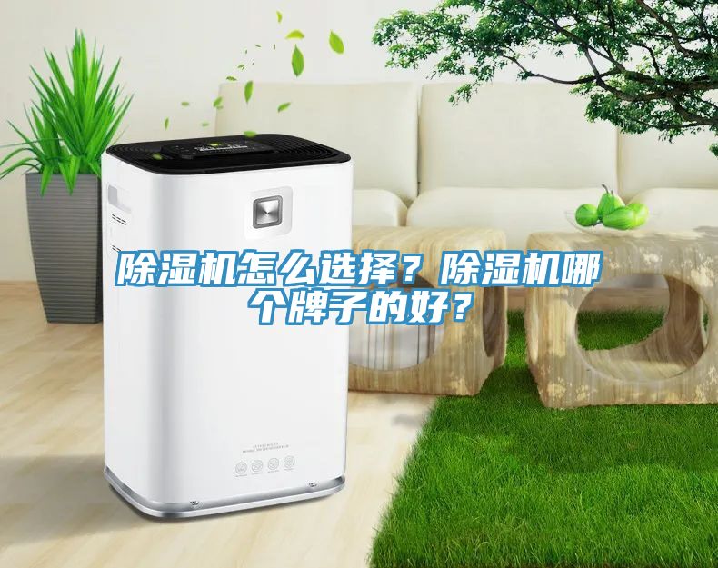 除濕機(jī)怎么選擇？除濕機(jī)哪個(gè)牌子的好？