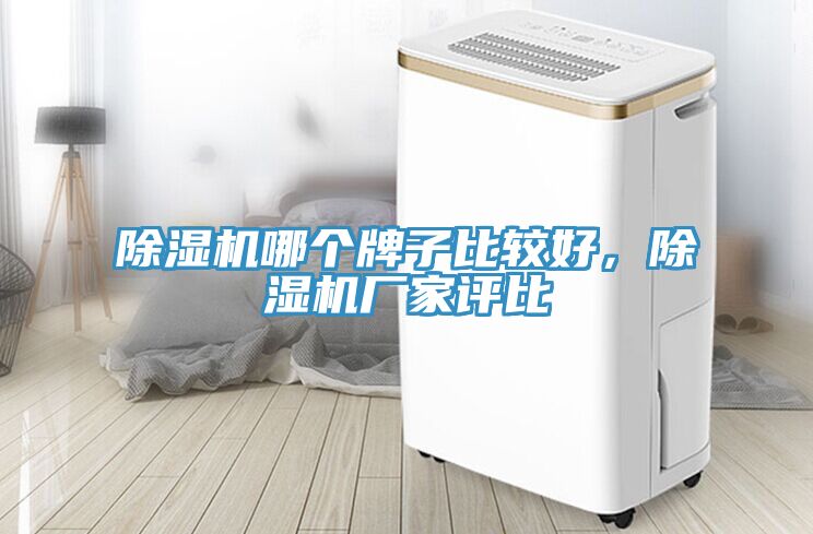除濕機(jī)哪個(gè)牌子比較好，除濕機(jī)廠家評(píng)比