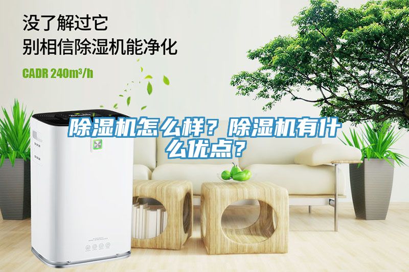 除濕機怎么樣？除濕機有什么優(yōu)點？