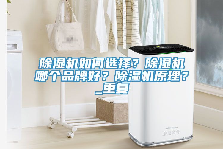 除濕機(jī)如何選擇？除濕機(jī)哪個(gè)品牌好？除濕機(jī)原理？_重復(fù)