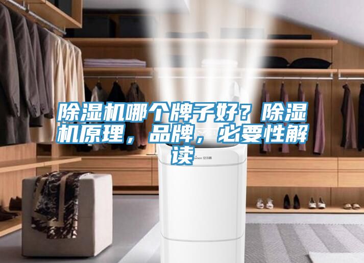 除濕機哪個牌子好？除濕機原理，品牌，必要性解讀