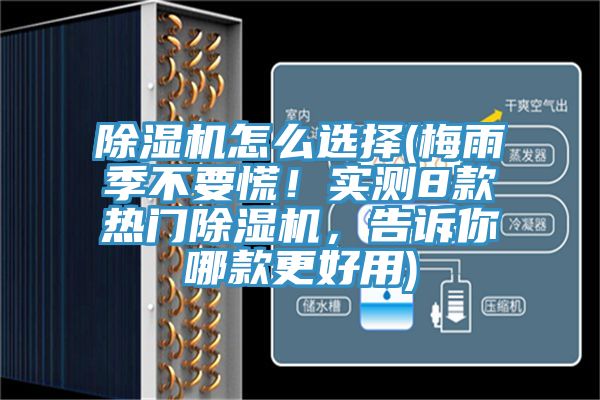 除濕機怎么選擇(梅雨季不要慌！實測8款熱門除濕機，告訴你哪款更好用)