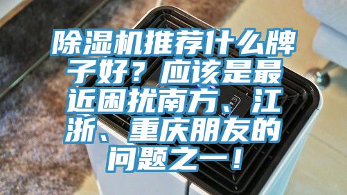 除濕機推薦什么牌子好？應該是最近困擾南方、江浙、重慶朋友的問題之一！