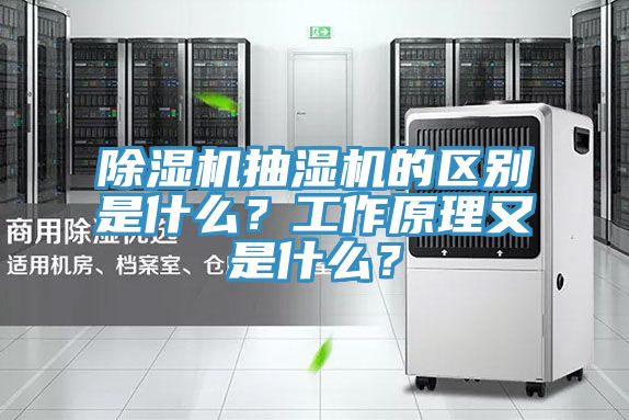 除濕機抽濕機的區(qū)別是什么？工作原理又是什么？