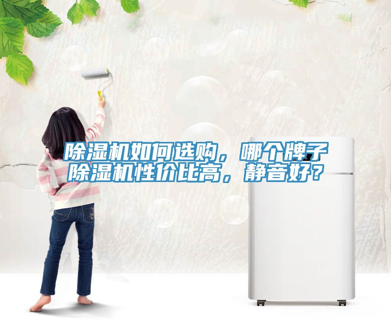 除濕機如何選購，哪個牌子除濕機性價比高，靜音好？