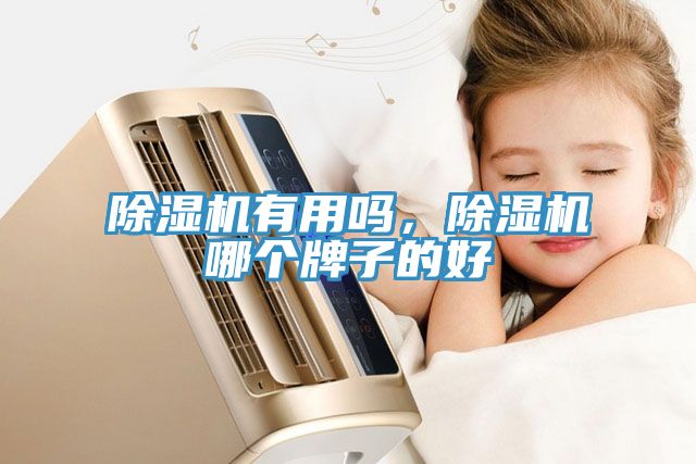 除濕機(jī)有用嗎，除濕機(jī)哪個牌子的好