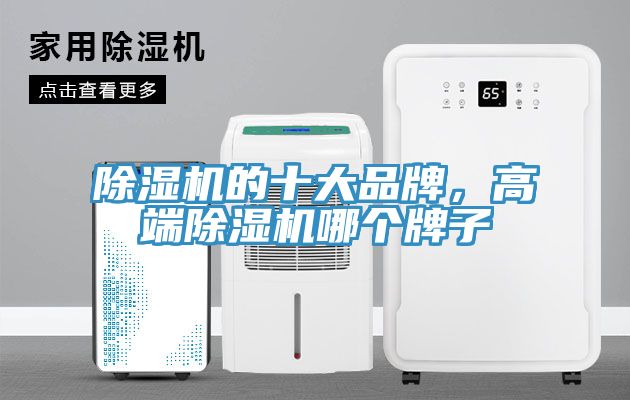 除濕機的十大品牌，高端除濕機哪個牌子
