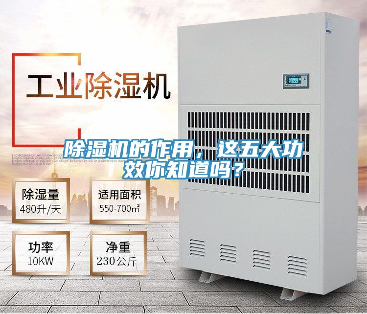 除濕機的作用，這五大功效你知道嗎？